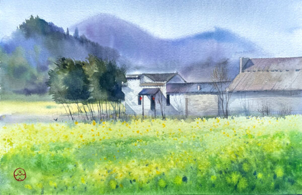 Xidi village, in rapeseed fields