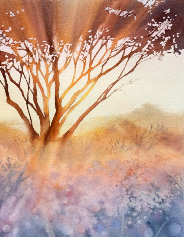 "Light through the branches" - original watercolor - Image 3