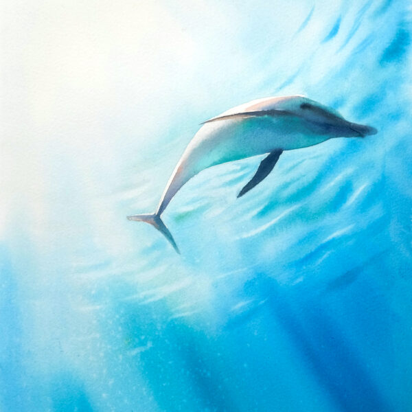 Free soul, dolphin