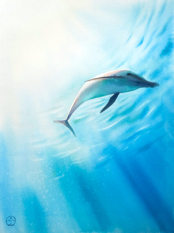 Free soul, dolphin