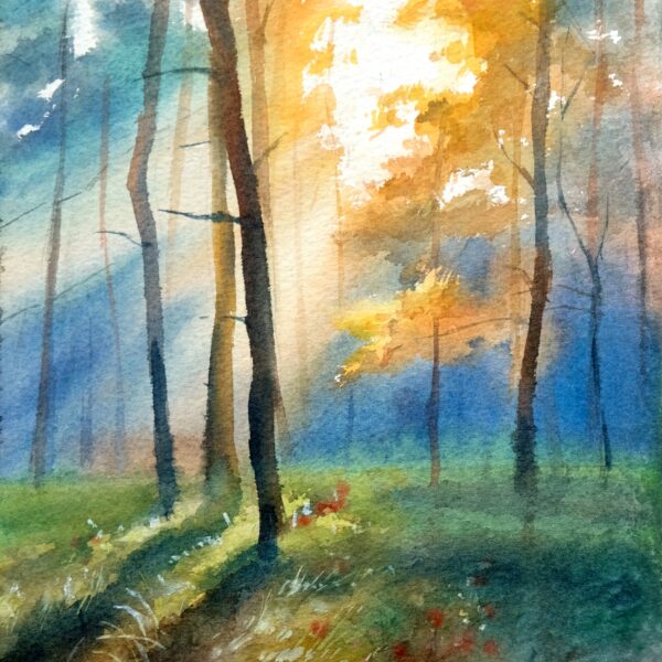 The sunny forest