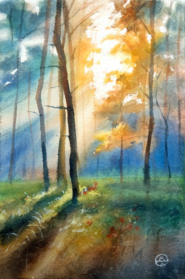 The sunny forest