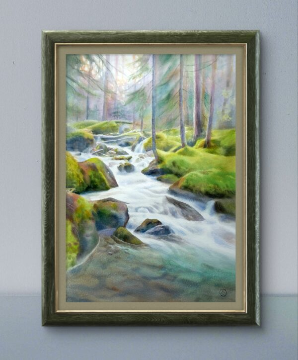Wet forest