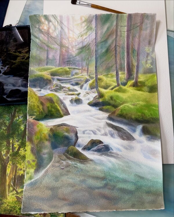 Wet forest