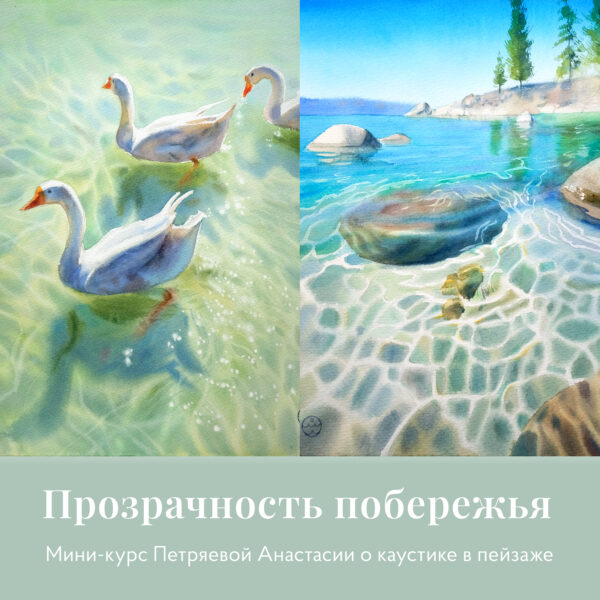 Прозрачность побережья