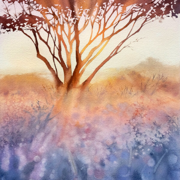 Light through branches