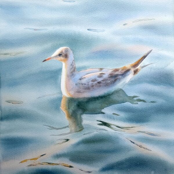 Seagull on the Waves