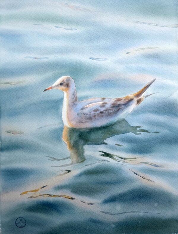 Seagull on the Waves