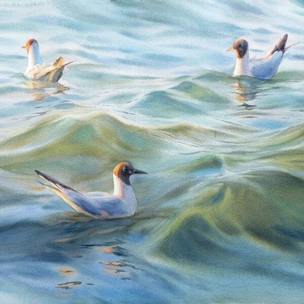 "Seagulls in the Evening Light". From the «Coastal Life» series, watercolor on paper 38x56 cm Exhibited at the Russian-Chinese exhibition in February 2026, Sareh Gallery