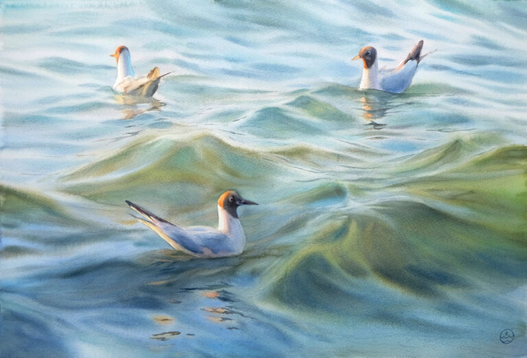 "Seagulls in the Evening Light". From the «Coastal Life» series, watercolor on paper 38x56 cm Exhibited at the Russian-Chinese exhibition in February 2026, Sareh Gallery