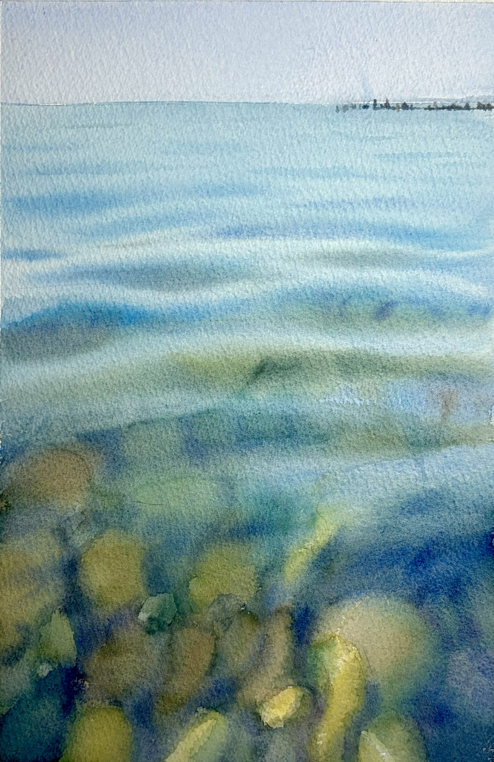 The Transparency of the Coast course - Image 2
