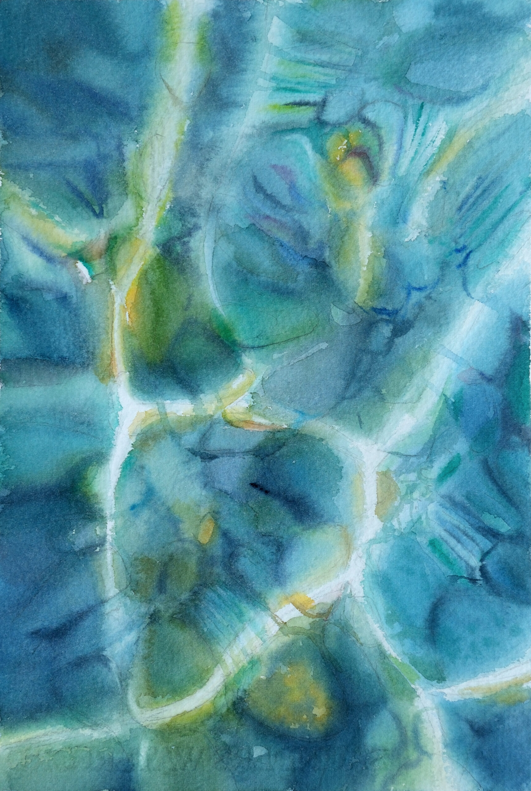 The Transparency of the Coast course - Image 5