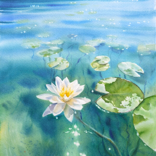 Harmony at the tips of the petals