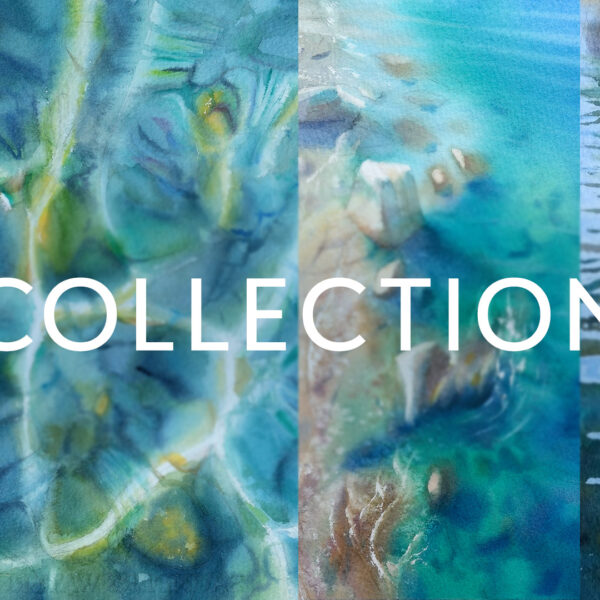 The Transparency of the Coast collection course