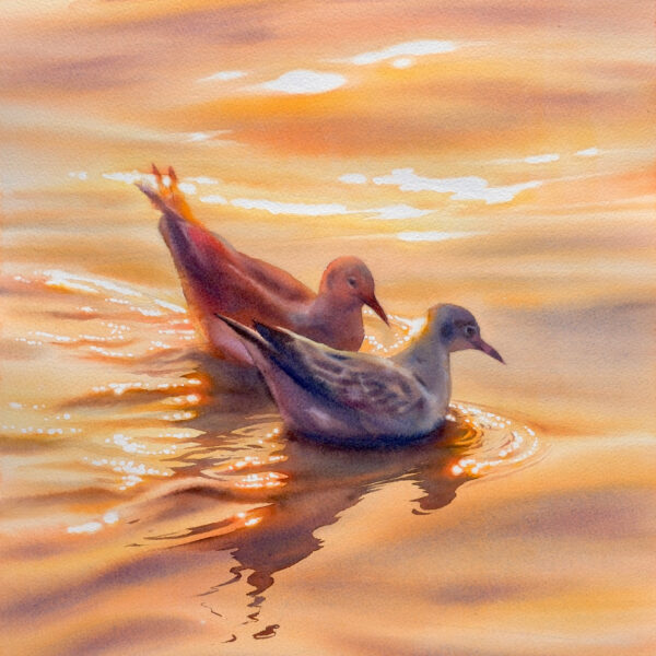 Seagulls - original watercolor