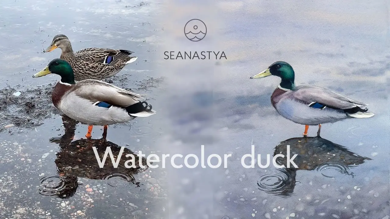 Duck and reflection