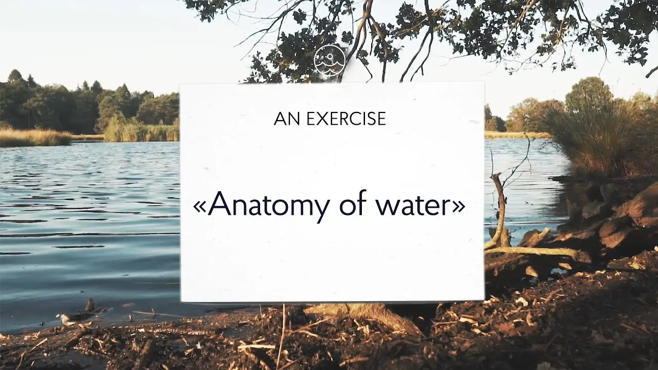 Exercise Anatomy of water