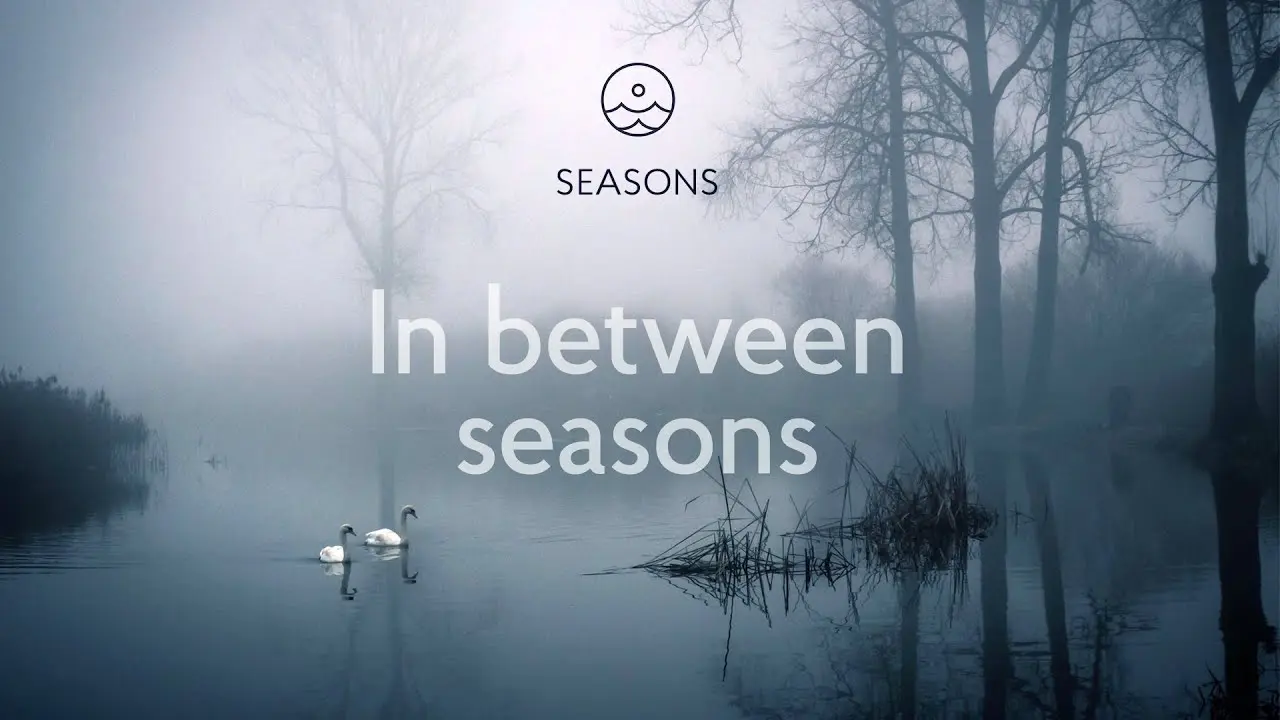 In between seasons