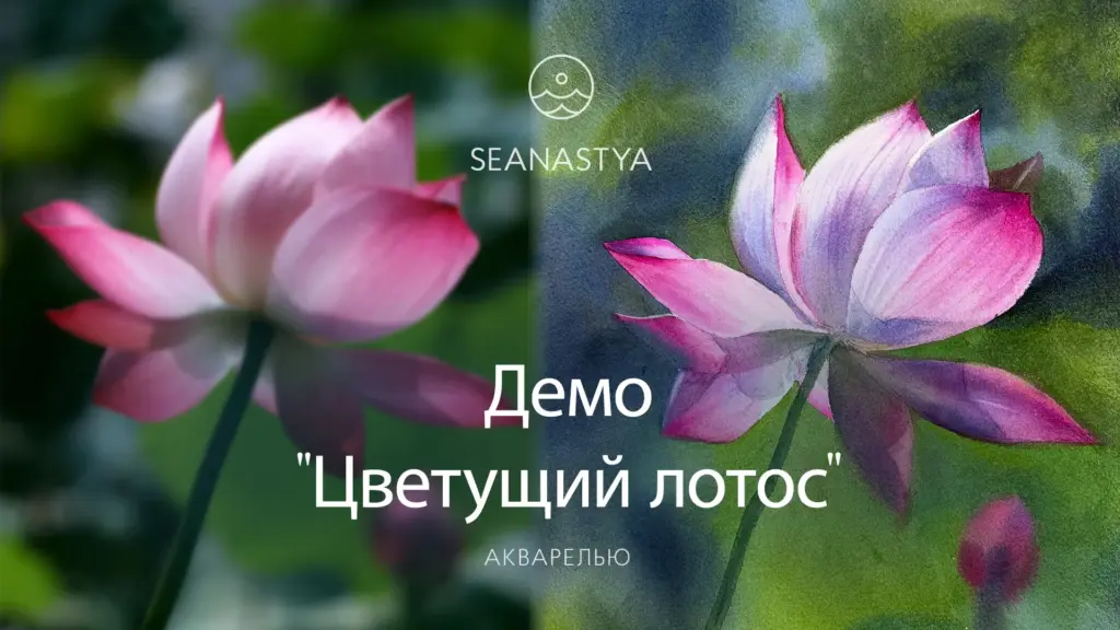 Демо «Цветок лотоса акварелью»